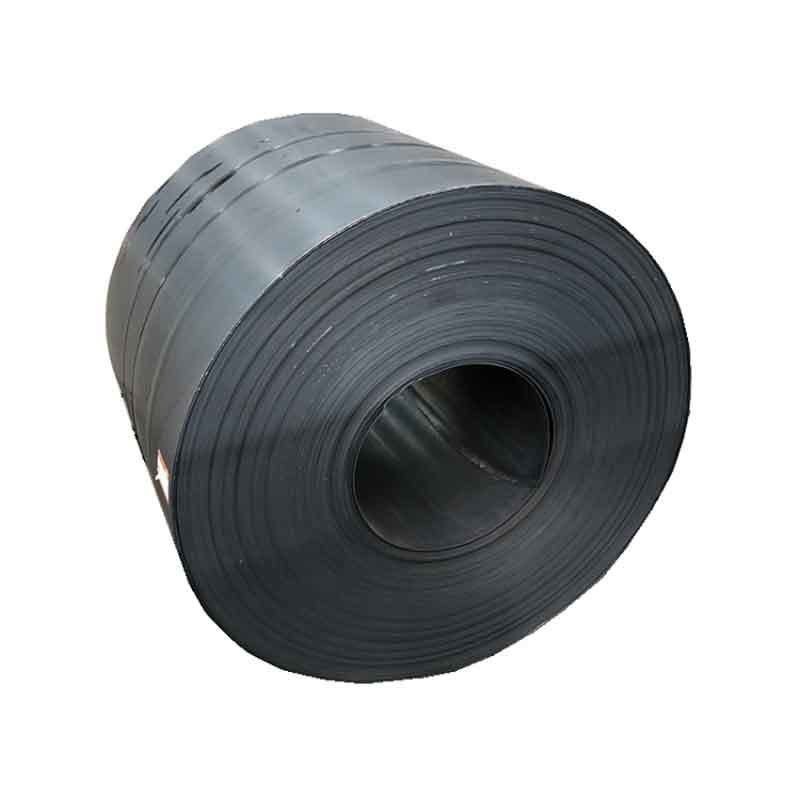 5 mm S355 bobina di carbonio bobina di acciaio con tecnologia laminata a caldo laminata a freddo e servizio di lavorazione del foraggio